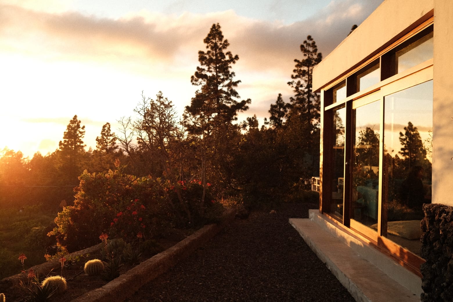 Allée de la Finca au coucher du soleil