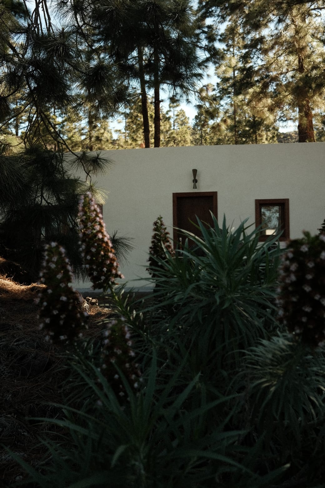 Jardin de cactus et d'agaves — La Finca