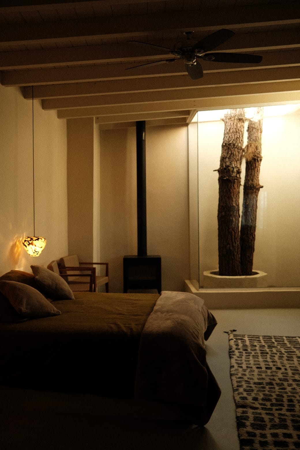 Chambre cosy avec puits de lumière planté d'un pin